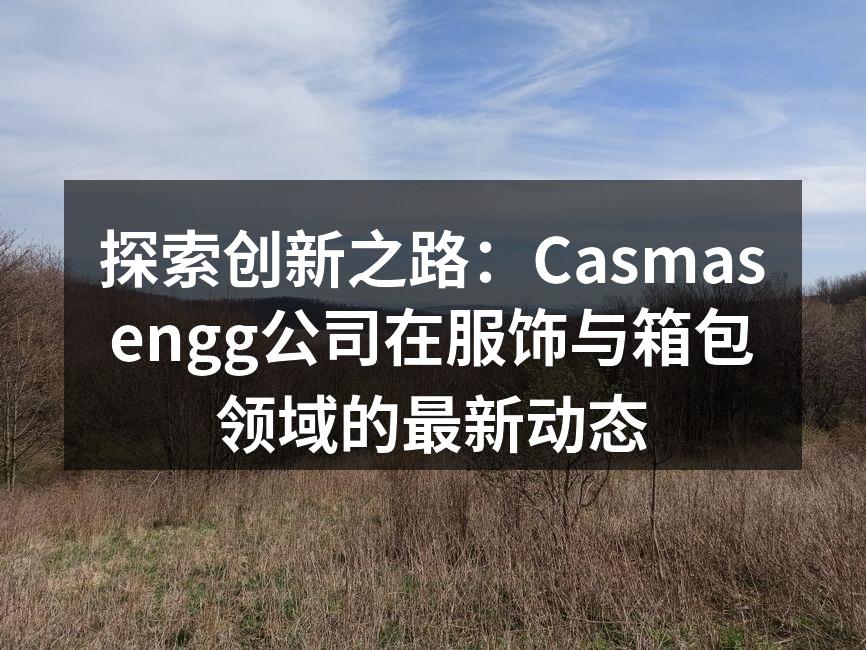 探索创新之路：Casmasengg公司在